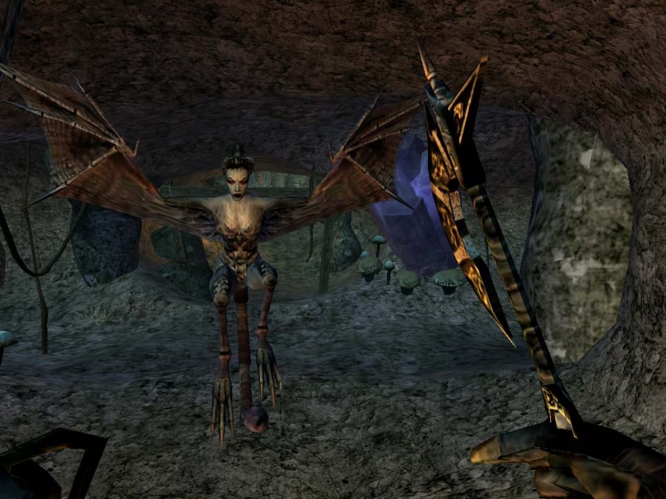 Mit The Elder Scrolls 3: Morrowind (Mai 2002) bringt Howard den damals strauchelnden Entwickler Bethesda wieder auf Kurs. Seit der Übernahme von Bethesda durch Microsoft ist die Version für Xbox auch im Game Pass enthalten.